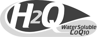 H2Q WATER SOLUBLE COQ10