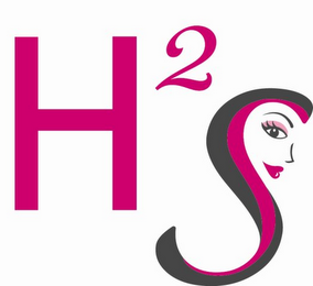 H2S logo