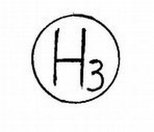H3 logo