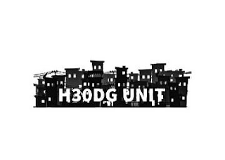 H30DG UNIT logo