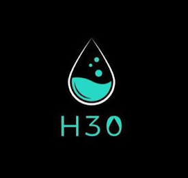 H3O logo