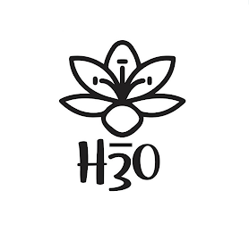 H3O logo