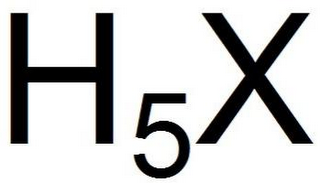 H5X logo