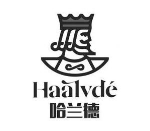 HAALVDE logo