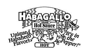 HABAGALLO BRAND HOT SAUCE UNIQUE HABANERO FLAVOR! "IT'S IN THE PEPPER!" HOT