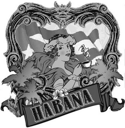 HABANA logo