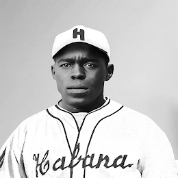 HABANA H logo