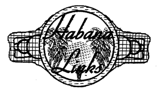 HABANA LINKS logo