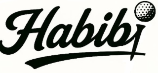 HABIBI logo