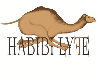 HABIBI LYFE logo