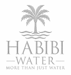 HABIBI WATER MORE THAN JUST WATER logo