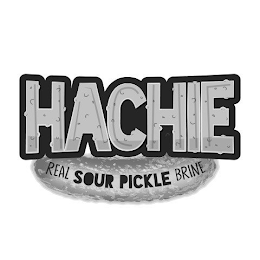 HACHIE REAL SOUR PICKLE BRINE logo