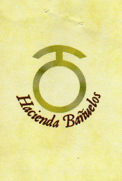 HACIENDA BAÑUELOS logo