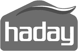 HADAY logo