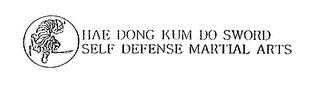 HAE DONG KUM DO SWORD SELF DEFENSE MARTIAL ARTS logo