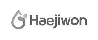 HAEJIWON logo
