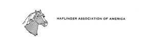 HAFLINGER ASSOCIATION OF AMERICA logo