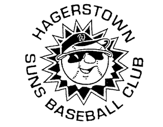 HAGERSTOWN SUNS BASEBALL CLUB logo