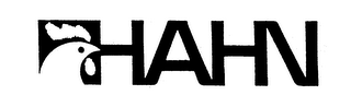 HAHN logo