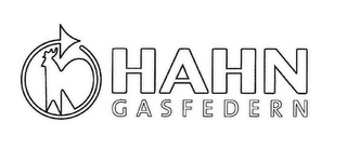 HAHN GASFEDERN logo