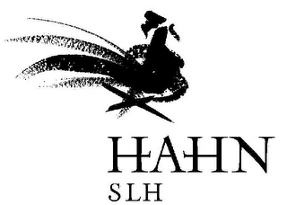 HAHN SLH logo