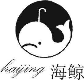 HAIJING logo