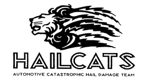 HAILCATS AUTOMOTIVE CATASTROPHIC HAIL DAMAGE TEAM logo