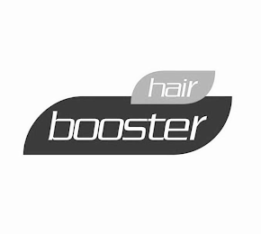 HAIR BOOSTER logo