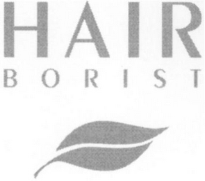 HAIR BORIST logo