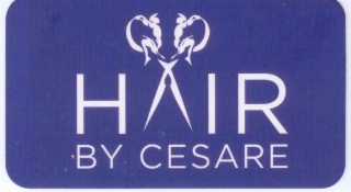 HAIR BY CESARE