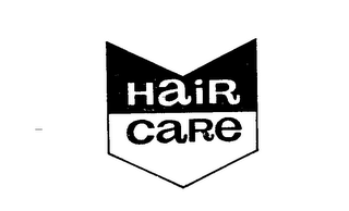 HAIR CARE logo