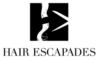 HAIR ESCAPADES H E logo