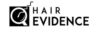 HAIR EVIDENCE logo