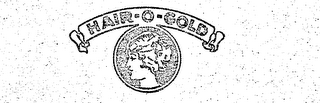 HAIR-O-GOLD logo