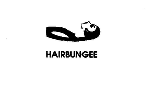 HAIRBUNGEE logo