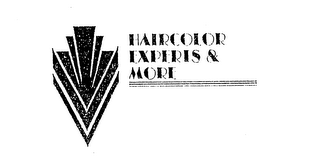 HAIRCOLOR EXPERTS & MORE logo