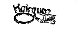 HAIRGUM logo