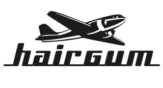 HAIRGUM logo