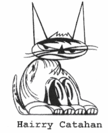 HAIRRY CATAHAN logo