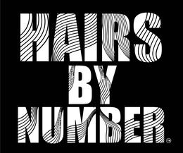 HAIRS BY NUMBER logo