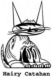 HAIRY CATAHAN logo