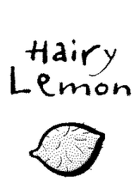 HAIRY LEMON logo