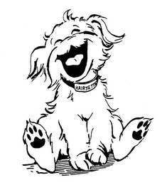 HAIRYETTE logo