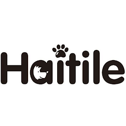 HAITILE logo