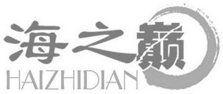 HAIZHIDIAN logo