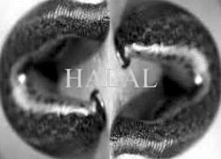 HALAL logo