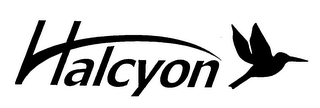 HALCYON logo