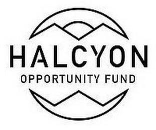 HALCYON OPPORTUNITY FUND logo
