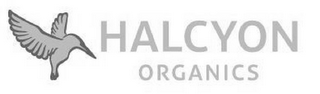 HALCYON ORGANICS logo