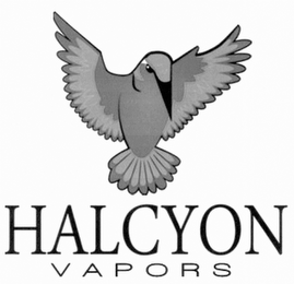 HALCYON VAPORS logo